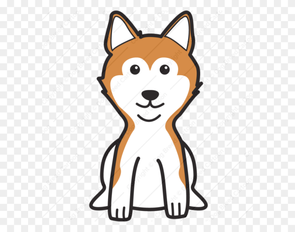 Раскраска сиба ину