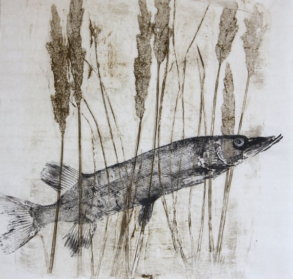 Наброски щуки