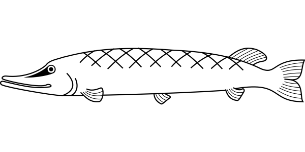 Морской Юнкер рыба раскраска