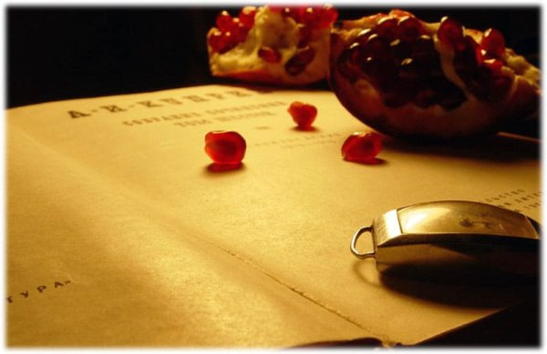 Гранатовый браслет Александр Куприн