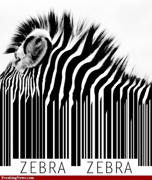 Креативные штрих коды