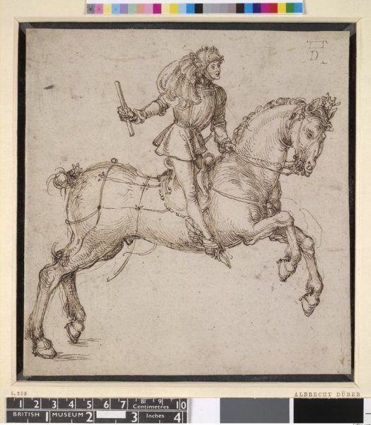 Анатомические рисунки Дюрера