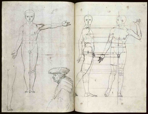 Альбрехт Дюрер рисунки животных