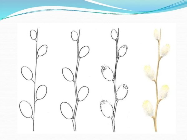 Фет Вербочки