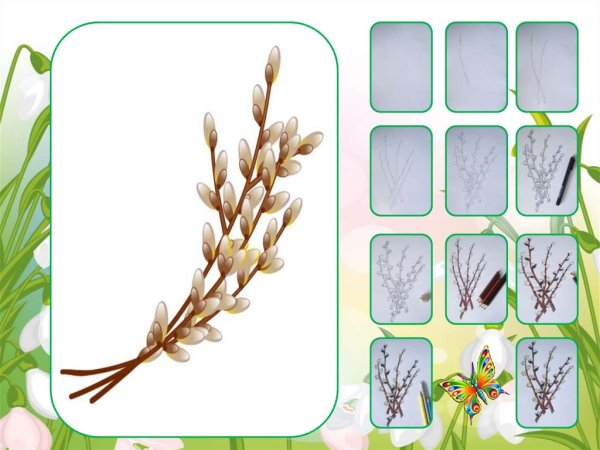 "Веточка вербы ." Рисование вербы.