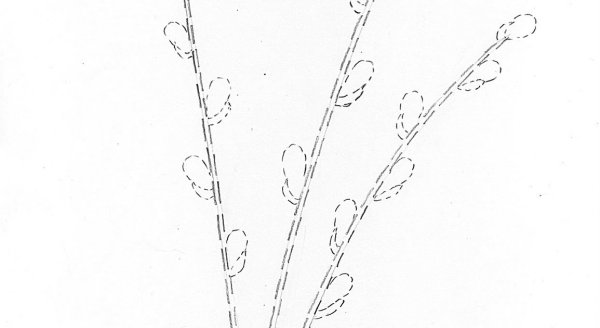 Рисование ветка вербы