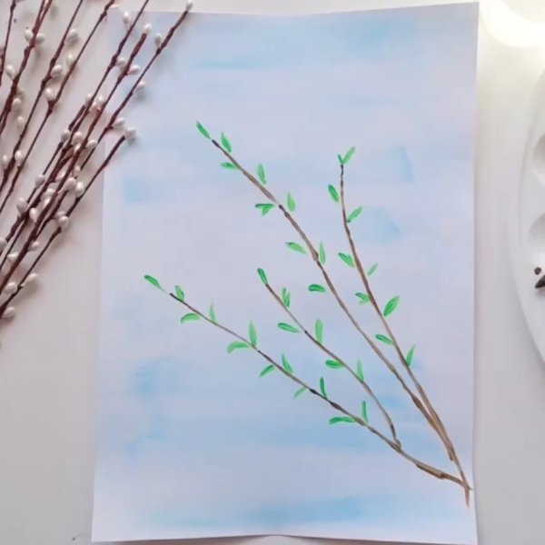 Веточка вербы рисунок карандашом