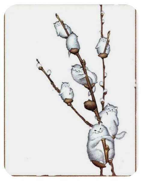 Верба раскраска