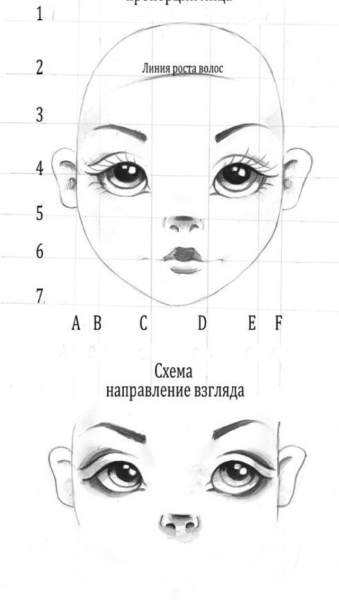 Пропорции кукольного лица
