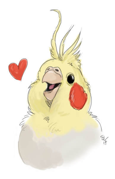 Корелла попугай мультяшный