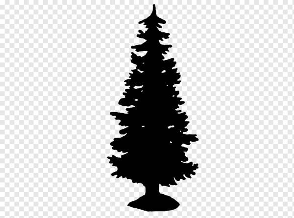 Очертания деревьев ель