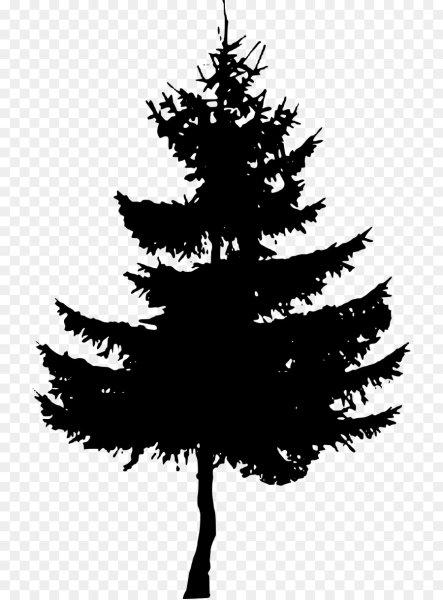 Силуэты елей