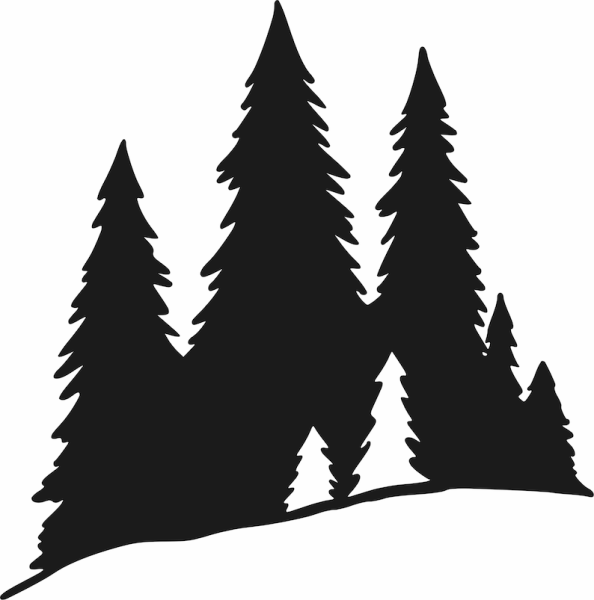 Елки лес силуэт