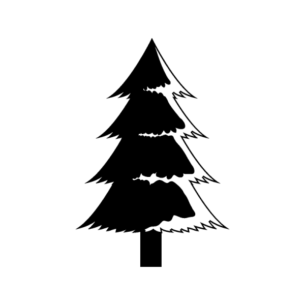 Очертание елки