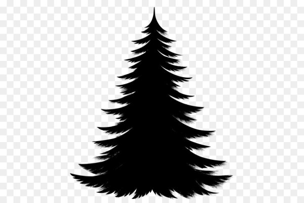 Силуэт елки на прозрачном фоне