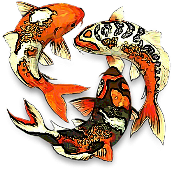 Карпы кои символ