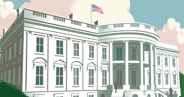 Белый дом арт