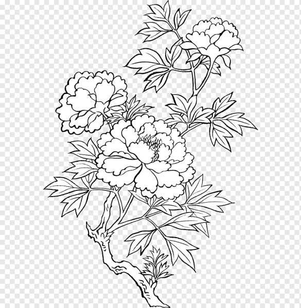 Бархатцы батик