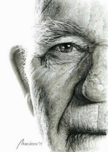 Портрет старика карандашом