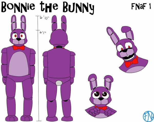 ФНАФ референс Бонни