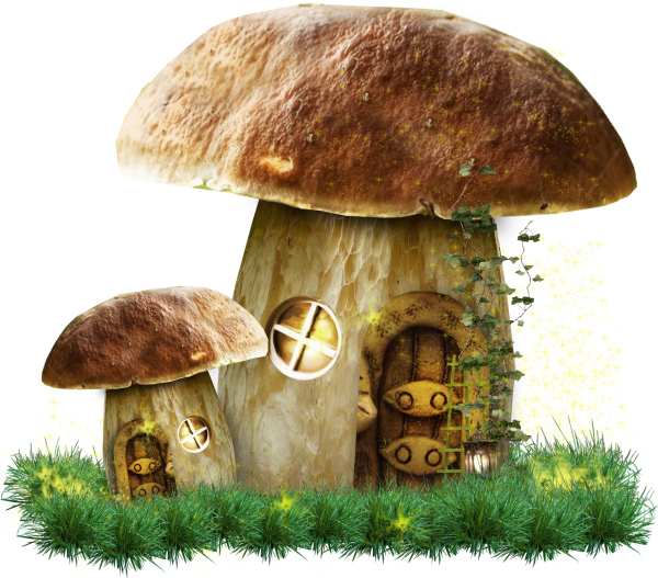 Сказочные грибы