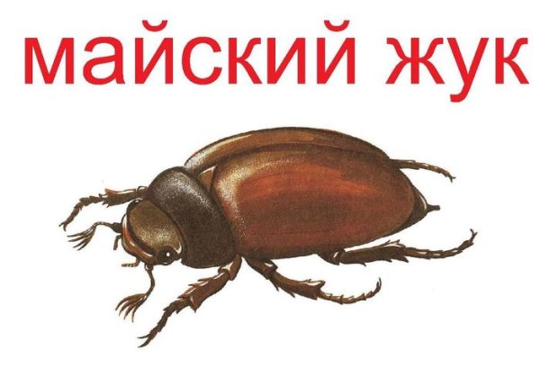 Нарисовать Майский хрущ