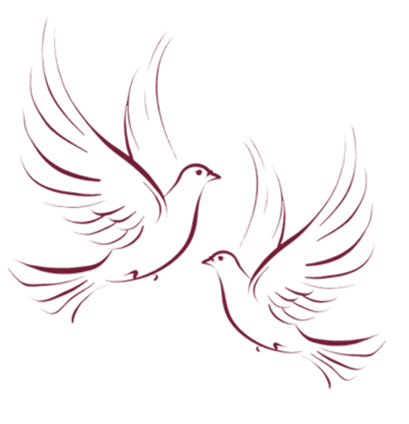 Свадебные голуби