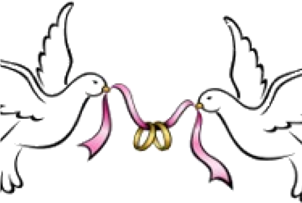 Свадебные голуби на прозрачном фоне