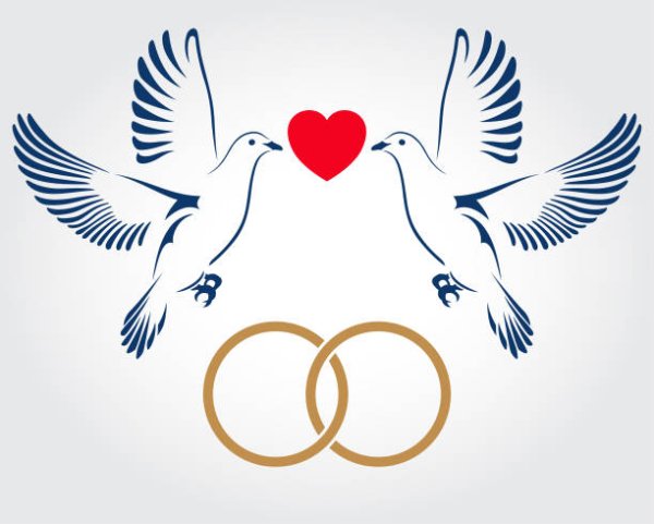 Сердце голубя