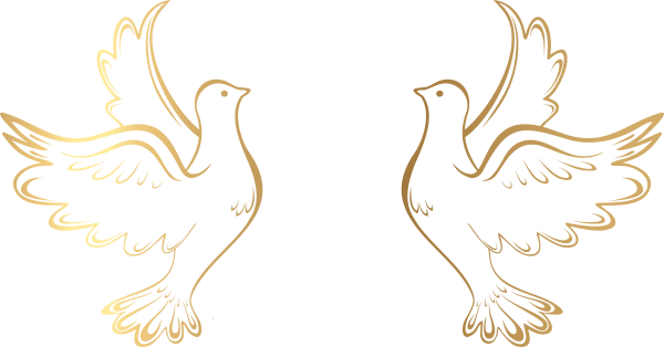 Голуби на свадьбу трафарет