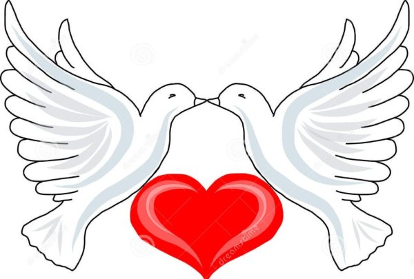 Свадебные голуби вектор