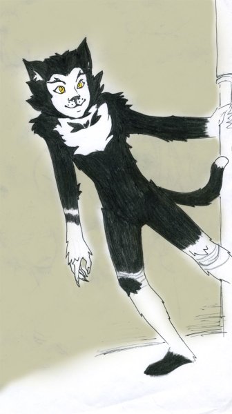 Рисунок кошки Гризабеллы