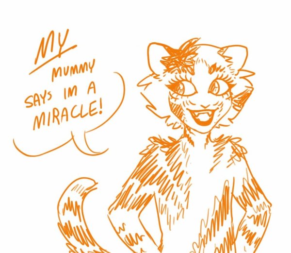 Мюзикл кошки