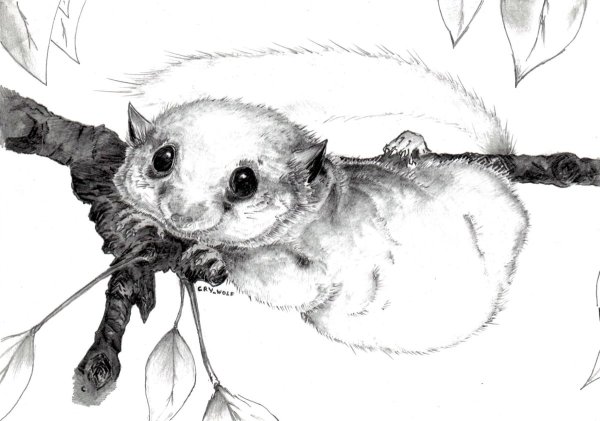 А.Н. Формозов