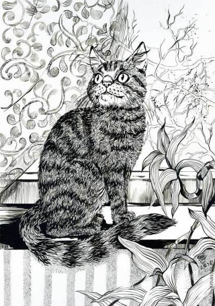 Котик в графике