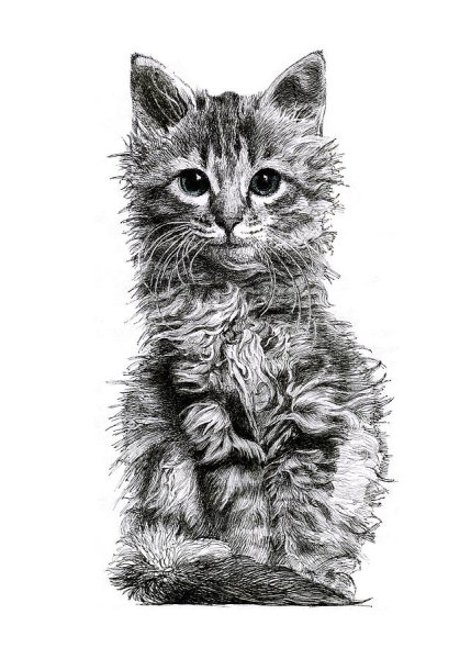 Кошка гелевой ручкой