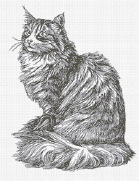 Графическое изображение кошки