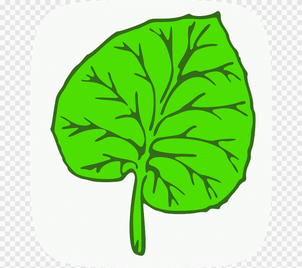 Зеленые листья нарисованные
