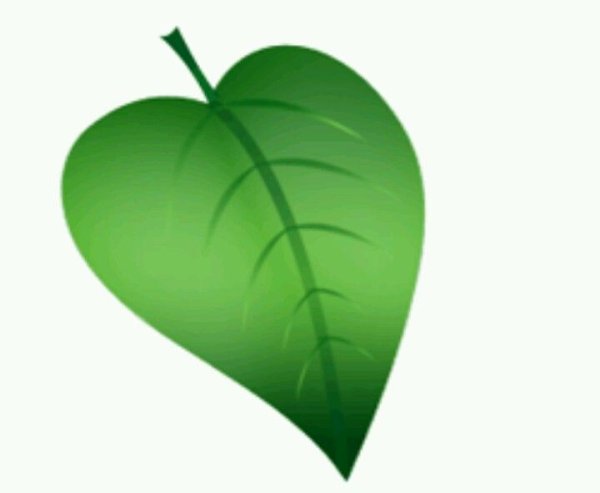 Зеленые листья для детей