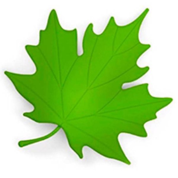 Листики для детей