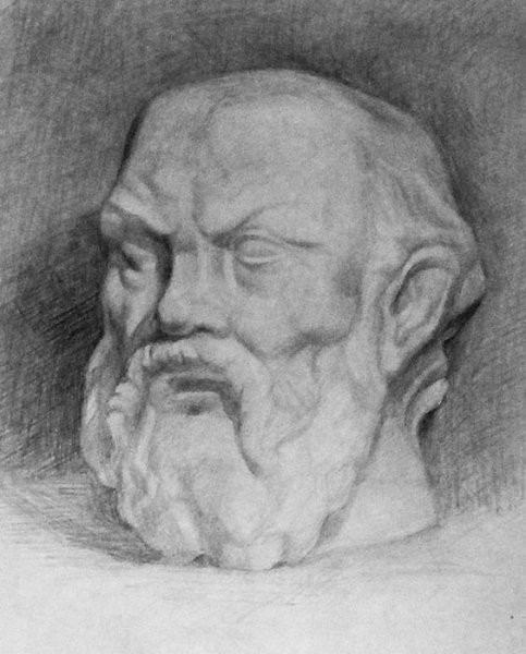 Строгановка Сократ