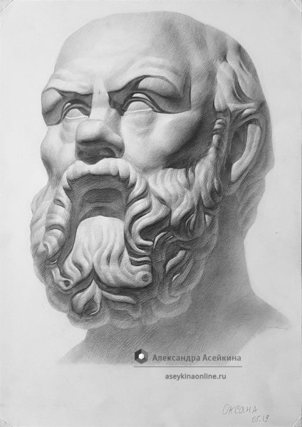 Сократ Академический рисунок