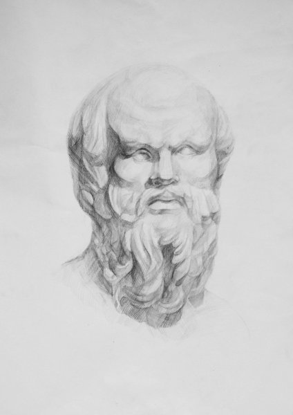 Сократ Академический рисунок