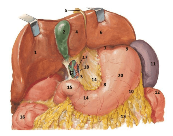 Смешные мемы про беременность
