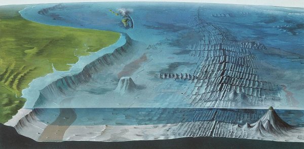 Рельеф дна Тихого океана 3д