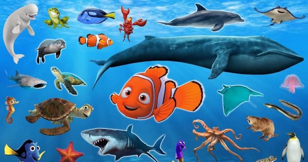 Жители океана для детей