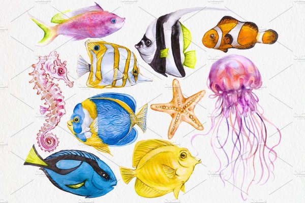 Морские обитатели акварелью