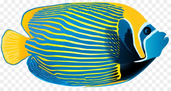 Рыба без фона