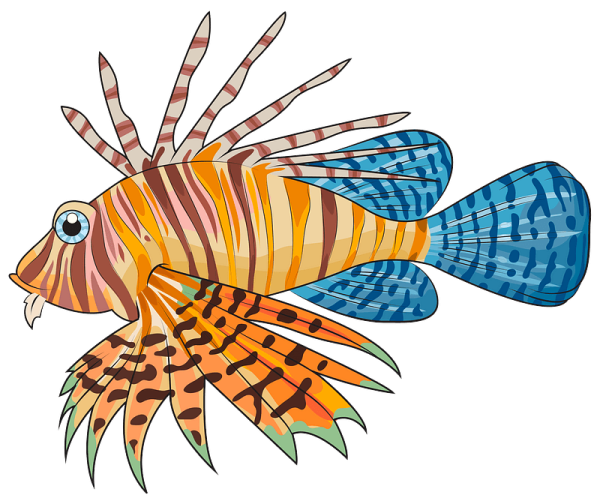 Рыба крылатка