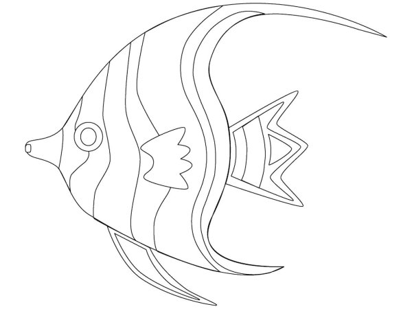 Рыбы для дошкольников